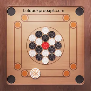 Carrom Pool